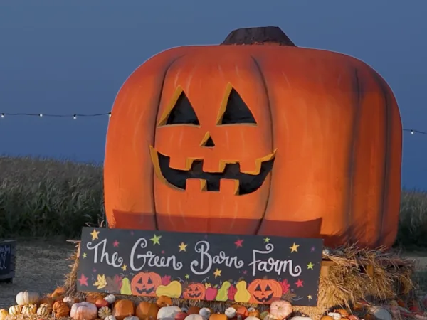 Green barn after dark big pumpkin