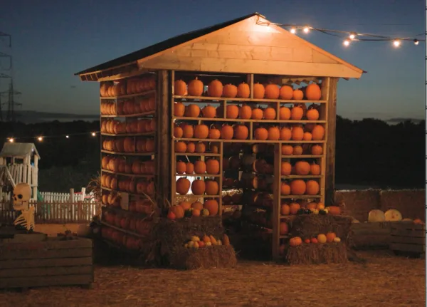 Pumpkin house after dark